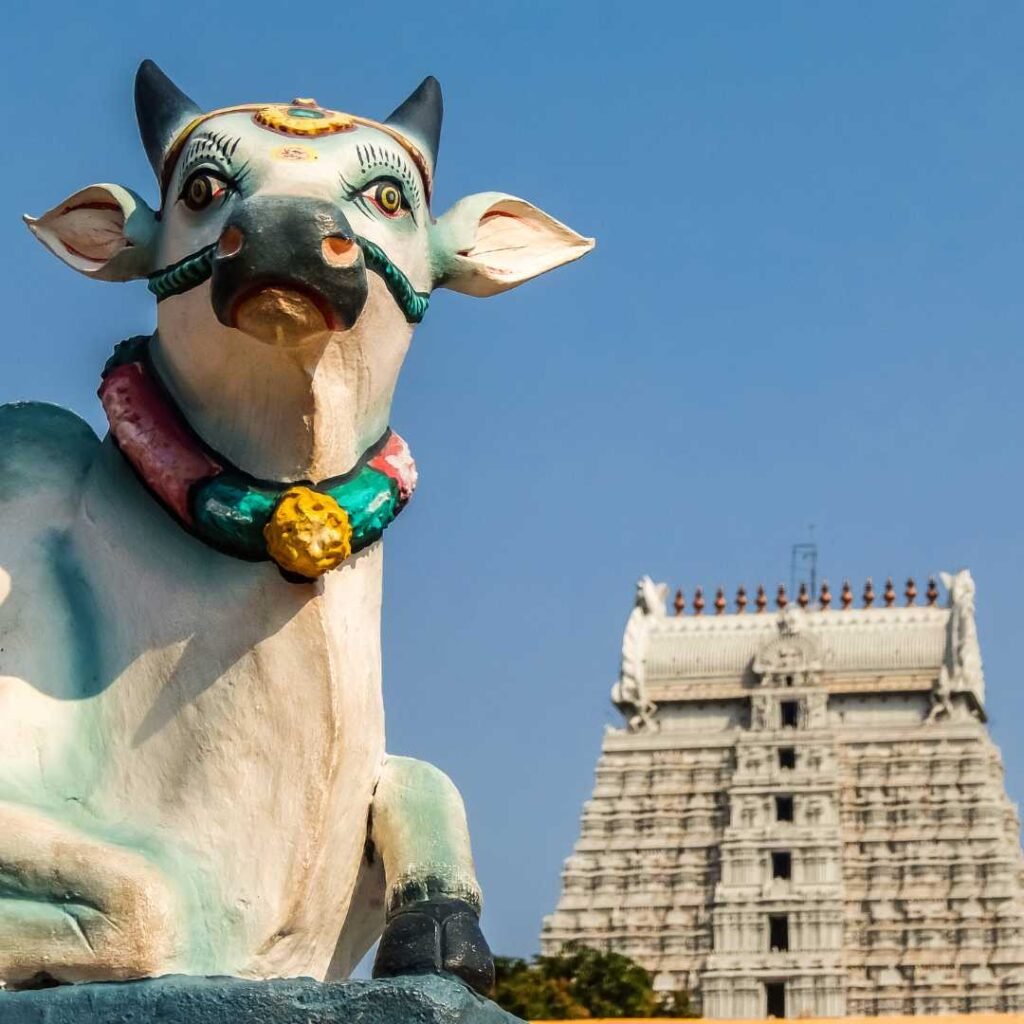 Thiruvannamalai Temple Tour Package from Chennai